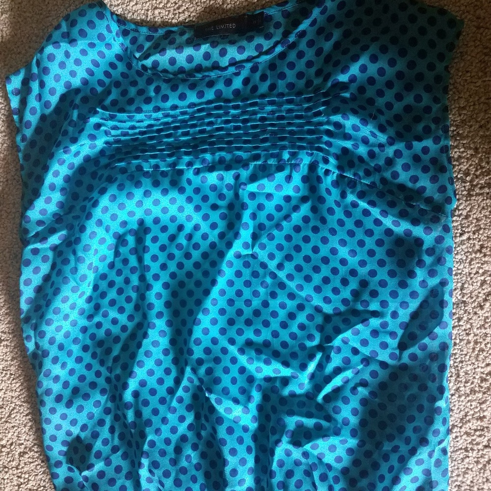 The Limited Blue Polkadot Shirt